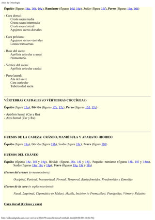 Atlas de Osteología
http://videosdigitals.uab.es/cr-vet/www/102679/osteo/ficheros/Untitled2.html[20/06/2014 0:02:56]
Équido (figuras 16a, 16b, 16c), Rumiante (figuras 16d, 16e), Suido (figura 16f), Perro (figuras 16g, 16h)
 
- Cara dorsal:
        Cresta sacra media
        Cresta sacra intermedia
        Cresta sacra lateral
        Agujeros sacros dorsales
 
- Cara pelviana:
        Agujeros sacros ventrales
        Líneas transversas
 
- Base del sacro:
        Apófisis articular craneal
        Promontorio
 
- Vértice del sacro:
        Apófisis articular caudal
 
- Parte lateral:
        Ala del sacro
        Cara auricular
        Tuberosidad sacra
 
 
VÉRTEBRAS CAUDALES (O VÉRTEBRAS COCCÍGEAS)
 
Équido (figura 17a), Bóvido (figuras 17b, 17c), Perro (figuras 17d, 17e)
 
- Apófisis hemal (Car y Ru)
- Arco hemal (Car y Ru)
 
 
 
HUESOS DE LA CABEZA: CRÁNEO, MANDÍBULA Y APARATO HIOIDEO
 
Équido (figura 18a), Bóvido (figura 18b), Suido (figura 18c), Perro (figura 18d)
 
 
HUESOS DEL CRÁNEO
 
Équido (figuras 18e, 18f y 18g), Bóvido (figuras 18h, 18i y 18j), Pequeño rumiante (figuras 18k, 18l y 18m),
Suido (figuras 18n, 18o y 18p), Perro (figuras 18q, 18r y 18s)
 
Huesos del cráneo (o neurocráneo):
 
            Occipital, Parietal, Interparietal, Frontal, Temporal, Basiesfenoides, Presfenoides y Etmoides
 
Huesos de la cara (o esplacnocráneo):
 
            Nasal, Lagrimal, Cigomático (o Malar), Maxila, Incisivo (o Premaxilar), Pterigoides, Vómer y Palatino
 
 
Cara dorsal (Cráneo y cara)
 
 