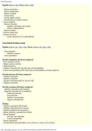Atlas de Osteología
http://videosdigitals.uab.es/cr-vet/www/102679/osteo/ficheros/Untitled2.html[20/06/2014 0:02:56]
Équido (figuras 19a), Perro (figura 19b)
 
Huesos parietales
Hueso interparietal
Hueso occipital
Cresta nucal
Cresta sagital externa
Protuberancia occipital externa
- Línea temporal
Huesos frontales:
Apófisis cigomática del frontal
          Orificio supraorbitario
Huesos nasales
- Orificio nasal óseo
- Huesos incisivos
Canal interincisivo (A. palatolabial)
 
 
Cara lateral (Cráneo y cara)
 
Équido (figuras 19c, 19d y 19e), Perro (figuras 19f, 19g y 19h)
 
Fosa temporal:
Orificios venosos
Arco cigomático
               
Porción timpánica del hueso temporal:
- Poro acústico externo
- Meato acústico externo  
- Bulla timpánica
- Apófisis muscular (M. elevador del velo del paladar)
- Canal musculotubárico (M. tensor del velo del paladar y trompa auditiva)
               
Porción petrosa del hueso temporal:
- Apófisis mastoidea
- Apófisis estiloidea
- Agujero estilomastoideo (N. facial=VII)
- Agujero mastoideo
               
Porción escamosa del hueso temporal:
Apófisis cigomática del temporal
Superficie articular de la mandíbula:
Tubérculo articular
Fosa articular
Apófisis retroarticular
Agujero retroarticular
               
Órbita:
- Apófisis cigomática del frontal
- Apófisis cigomática de la maxila
- Apófisis temporal del cigomático
- Borde orbitario y paredes de la órbita
- Hueso lagrimal
Fosa del saco lagrimal
Canal nasolagrimal
- Hueso cigomático
- Ala del Hueso basiesfenoides (cara orbitaria o vértice de la órbita):
 