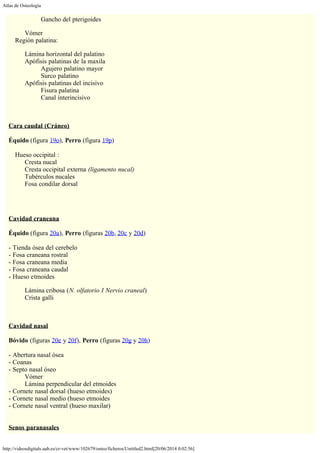 Atlas de Osteología
http://videosdigitals.uab.es/cr-vet/www/102679/osteo/ficheros/Untitled2.html[20/06/2014 0:02:56]
Gancho del pterigoides
Vómer
Región palatina:
Lámina horizontal del palatino
Apófisis palatinas de la maxila
Agujero palatino mayor
Surco palatino
Apófisis palatinas del incisivo
Fisura palatina
Canal interincisivo
 
 
Cara caudal (Cráneo)
 
Équido (figura 19o), Perro (figura 19p)
 
Hueso occipital :
Cresta nucal
Cresta occipital externa (ligamento nucal)
Tubérculos nucales
Fosa condilar dorsal
 
 
Cavidad craneana
 
Équido (figura 20a), Perro (figuras 20b, 20c y 20d)
 
- Tienda ósea del cerebelo
- Fosa craneana rostral
- Fosa craneana media
- Fosa craneana caudal
- Hueso etmoides
Lámina cribosa (N. olfatorio I Nervio craneal)
Crista galli
 
 
Cavidad nasal
 
Bóvido (figuras 20e y 20f), Perro (figuras 20g y 20h)
 
- Abertura nasal ósea
- Coanas
- Septo nasal óseo
Vómer
Lámina perpendicular del etmoides
- Cornete nasal dorsal (hueso etmoides)
- Cornete nasal medio (hueso etmoides
- Cornete nasal ventral (hueso maxilar)
 
 
Senos paranasales
 