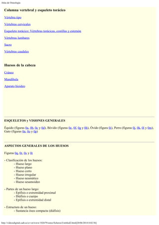 Atlas de Osteología
http://videosdigitals.uab.es/cr-vet/www/102679/osteo/ficheros/Untitled2.html[20/06/2014 0:02:56]
Columna vertebral y esqueleto torácico
Vértebra tipo
Vértebras cervicales
Esqueleto torácico: Vértebras torácicas, costillas y esternón
Vértebras lumbares
Sacro
Vértebras caudales
 
Huesos de la cabeza
Cráneo
Mandíbula
Aparato hioideo
 
 
 
 
ESQUELETOS y VISIONES GENERALES
 
Équido (figuras 0a, 0b, 0c y 0d), Bóvido (figuras 0e, 0f, 0g y 0h), Óvido (figura 0i), Perro (figuras 0j, 0k, 0l y 0m),
Gato (figuras 0n, 0o y 0p)
 
 
ASPECTOS GENERALES DE LOS HUESOS
 
Figuras 0q, 0r, 0s y 0t
 
- Clasificación de los huesos:
- Hueso largo
- Hueso plano
- Hueso corto
- Hueso irregular
- Hueso neumático
- Hueso sesamoideo
 
- Partes de un hueso largo:
- Epífisis o extremidad proximal
- Diáfisis o cuerpo
- Epífisis o extremidad distal
 
- Estructura de un hueso:
- Sustancia ósea compacta (diáfisis)
 