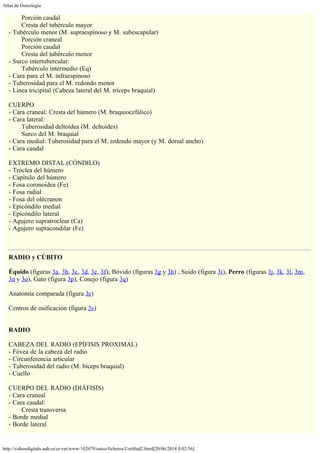 Atlas de Osteología
http://videosdigitals.uab.es/cr-vet/www/102679/osteo/ficheros/Untitled2.html[20/06/2014 0:02:56]
        Porción caudal
        Cresta del tubérculo mayor
- Tubérculo menor (M. supraespinoso y M. subescapular)
        Porción craneal
        Porción caudal
        Cresta del tubérculo menor
- Surco intertubercular:
        Tubérculo intermedio (Eq)
- Cara para el M. infraespinoso
- Tuberosidad para el M. redondo menor
- Línea tricipital (Cabeza lateral del M. tríceps braquial)
 
CUERPO
- Cara craneal: Cresta del húmero (M. braquiocefálico)
- Cara lateral:
        Tuberosidad deltoidea (M. deltoides)
        Surco del M. braquial
- Cara medial: Tuberosidad para el M. redondo mayor (y M. dorsal ancho)
- Cara caudal
 
EXTREMO DISTAL (CÓNDILO)
- Tróclea del húmero
- Capítulo del húmero
- Fosa coronoidea (Fe)
- Fosa radial
- Fosa del olécranon
- Epicóndilo medial
- Epicóndilo lateral
- Agujero supratroclear (Ca)
- Agujero supracondilar (Fe)
 
 
RADIO y CÚBITO
 
Équido (figuras 3a, 3b, 3c, 3d, 3e, 3f), Bóvido (figuras 3g y 3h) , Suido (figura 3i), Perro (figuras 3j, 3k, 3l, 3m,
3n y 3o), Gato (figura 3p), Conejo (figura 3q)
 
Anatomía comparada (figura 3r)
 
Centros de osificación (figura 3s)
 
 
RADIO
 
CABEZA DEL RADIO (EPÍFISIS PROXIMAL)
- Fóvea de la cabeza del radio
- Circunferencia articular
- Tuberosidad del radio (M. bíceps braquial)
- Cuello
 
CUERPO DEL RADIO (DIÁFISIS)
- Cara craneal
- Cara caudal:
        Cresta transversa
- Borde medial
- Borde lateral
 