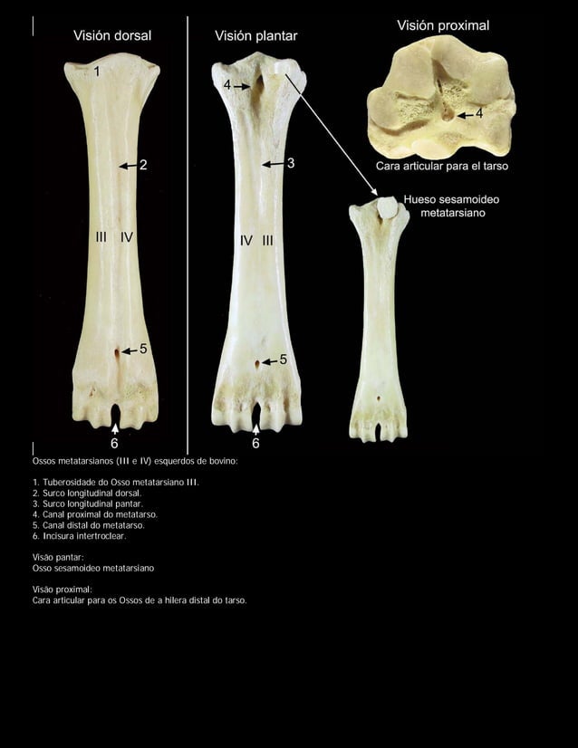 Grand portemanteau main image 0