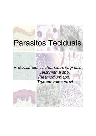 Parasitos Teciduais
Protozoários: Trichomonas vaginalis
Leishmania spp.
Plasmodium spp.
Trypanosoma cruzi
 