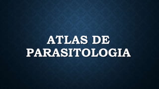 ATLAS DE
PARASITOLOGIA
 