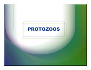 PROTOZOOS 
 