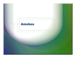 Amebas 
 
