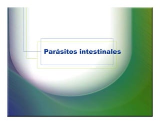 Parásitos intestinales 
 