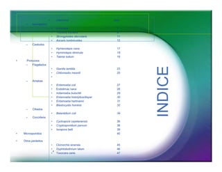 ‡ Helmintos slide 
4 
± Nematodos 
‡ Uncinaria 7 
‡ Trichuris trichiura 9 
‡ Strongyloides stercolaris 11 
‡ Ascaris lumbricoides 12 
± Cestodos 
‡ Hymenolepis nana 17 
‡ Hyminolepis diminuta 18 
‡ Taenia solium 19 
‡ Protozoos 
± Flagelados 
‡ Giardia lamblia 23 
‡ Chilomastix mesnili 25 
‡ 
± Amebas 
‡ Entamoeba coli 27 
‡ Endolimax nana 28 
‡ Iodamoeba butschlii 29 
‡ Entamoeba histolytica/dispar 30 
‡ Entamoeba hartmanni 31 
‡ Blastocystis hominis 32 
± Ciliados 
‡ Balantidium coli 34 
± Coccideos 
‡ Cyclospora cayetanensis 36 
‡ Cryptosporidium parvum 38 
‡ Isospora belli 39 
‡ Microsporidios 40 
‡ Otros parásitos 
‡ Clonorchis sinensis 45 
‡ Dyphilobothrium latum 46 
‡ Toxocara canis 47 
INDICE 
 