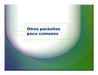 Otros parásitos 
poco comunes 
 