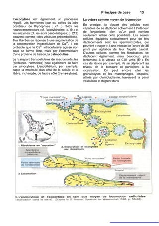 Principes de base           13
L'exocytose est également un processus               La cytose comme moyen de locomotion
régulé. Les hormones (par ex. celles du lobe
                                                     En principe, la plupart des cellules sont
postérieur de l'hypophyse ; cf. p. 240). les
                                                     capables de se déplacer activement à l'intérieur
neurotransmetteurs (cf. l'acétylcholine. p. 54) et
                                                     de l'organisme, bien qu'un petit nombre
les enzymes (cf. les acini pancréatiques; p. 212)
                                                     seulement utilise cette possibilité. Les seules
peuvent, comme «des vésicules préemballées»,
                                                     cellules équipées spécialement pour de tels
être libérées en réponse à une augmentation de
                                                     déplacements sont les spermatozoïdes, qui
la concentration intracellulaire de Ca2+. Il est
                                                     peuvent « nager » à une vitesse de l'ordre de 35
probable que le Ca2+ intracellulaire agisse non
                                                     µm/S par agitation de leur flagelle caudal.
sous sa forme libre, mais par l'intermédiaire
d'une protéine de liaison, la calmoduline.           D'autres cellules, comme les fibroblastes. se
                                                     déplacent également, mais beaucoup plus
Le transport transcellulaire de macromolécules       lentement, à la vitesse de 0.01 µm/s (E1). En
(protéines, hormones) peut également se faire        cas de lésion par exemple, ils se déplacent au
par pinocytose. L'endothélium, par exemple,          niveau de la blessure et participent à la
capte la molécule d'un côté de la cellule et la      cicatrisation. On peut encore citer les
libère, inchangée, de l'autre côté (trans-cytose).   granulocytes et les macrophages, lesquels,
                                                     attirés par chimiotactisme, traversent la paroi
                                                     vasculaire et migrent dans
 