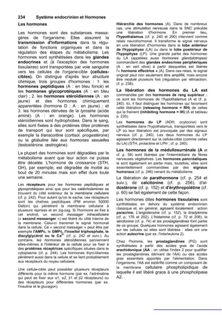 234        Système endocrinien et Hormones
Les hormones                                               Hiérarchie des hormones (A). Dans de nombreux
                                                           cas, une stimulation nerveuse dans le SNC précède
Les hormones sont des substances messa-                    une libération d'hormone. En premier lieu,
gères de l'organisme. Elles assurent la                    l'hypothalamus (cf. p. 240 et 290) intervient comme
transmission d'informations dans la régu-                  relais neurohormonal. Il transforme le signal nerveux
                                                           en une libération d'hormones dans le lobe antérieur
lation de fonctions organiques et dans la                  de l'hypophyse (LA) ou dans le lobe postérieur de
régulation des étapes du métabolisme. Les                  l'hypophyse (LP). Une grande partie des hormones
hormones sont synthétisées dans les glandes                du LA (appelées aussi hormones glandulotropes)
endocrines et (à l'exception des hormones                  commandent des glandes endocrines périphériques
tissulaires) sont transportées par voie sanguine           (A : en vert olive) à partir desquelles est libérée
vers les cellules de l'organe-cible (cellules-             l'« hormone effectrice » (A). Dans ces relais, le signal
cibles). On distingue d'après leur structure               original peut non seulement être amplifié, mais encore
                                                           être modulé plusieurs fois (régulation par rétroaction;
chimique, trois groupes d'hormones : 1. les                cf. p. 238).
hormones peptidiques (A : en bleu foncé) et
les hormones glycoprotéiques (A : en bleu                  La libération des hormones du LA est
clair) ; 2. les hormones stéroïdiennes (A : en             commandée par des hormones de rang supérieur :
                                                           ce sont les hormones de I'hypothalamus (A et cf. p.
jaune) et des hormones chimiquement
                                                           240). Ici, il faut distinguer les hormones qui favorisent
apparentées (hormone D ; A : en jaune) ; et                cette libération (releasing hormone = RH) de celles
3. les hormones dérivées de la tyrosine (acide             qui la freinent (inhibiting hormone = IH) (A et tableau
aminé) (A : en orange). Les hormones                       p. 235).
stéroïdiennes sont hydrophobes. Dans le sang,              Les hormones du LP (ADH, ocytocine) sont
elles sont fixées à des protéines dites protéines          synthétisées dans l'hypothalamus, transportées vers le
de transport qui leur sont spécifiques, par                LP où leur libération est provoquée par des signaux
exemple la transcortine (cortisol. progestérone)           nerveux (cf. p. 240). Les deux hormones du LP
ou la globuline liée aux hormones sexuelles                agissent directement sur la cellule-cible (comme celles
(testostérone. œstrogène).                                 du LA) (STH, prolactine et LPH ; cf. p. 240).
                                                           Les hormones de la médullosurrénale (A et
La plupart des hormones sont dégradées par le              cf. p. 58) sont libérées par l'intermédiaire de fibres
métabolisme avant que leur action ne puisse                nerveuses végétatives. Les hormones pancréatiques
être décelée. L'hormone de croissance (STH,                le sont également en partie mais, toutefois, elles sont
GH), par exemple, est dégradée de moitié au                essentiellement commandées par des signaux
bout de 20 minutes mais son effet dure toute               humoraux (cf. p. 246) venant du métabolisme.
une semaine.                                               La libération de parathormone (cf. p. 254 et
Les récepteurs pour les hormones peptidiques et            suiv.), de calcitonine (cf. p. 256), d'al-
glycoprotéiques ainsi que pour les catécholamines se       dostérone (cf. p. 152) et d'érythropoïétine (cf.
trouvent du côté extérieur de la membrane cellulaire       p. 60) se fait également de cette façon.
(cf. p. 242). Pour autant qu'on le sache, ces récepteurs
sont les chaînes peptidiques (PM environ 50000
                                                           Les hormones dites hormones tissulaires sont
                                                           synthétisées en dehors du système endocrinien
Dalton) qui pénètrent la membrane cellulaire à
                                                           classique et, en général, agissent localement : action
plusieurs reprises et en zig-zag. Si l'hormone se fixe à
                                                           paracrine. L'angiotensine (cf. p. 152), la bradykinine
cet endroit, un second messager intracellulaire
(« second messenger ») est libéré du côté interne de       (cf. p. 176 et 202). L'histamine (cf. p. 72 et 208), la
la membrane. Celui-ci transmet le signal hormonal          sérotonine (cf. p. 74) et les prostaglandines font partie
dans la cellule. Ce « second messager » peut être par      de ce groupe. Quelques hormones agissent également
exemple l'AMPc, le GMPc, l'inositol triphosphate, le       sur les cellules où elles sont libérées : elles ont une
                           2+                              action autocrine (par ex. l'interleukine 2).
diacylgiycérol ou le Ca (cf. p. 242 et suiv.). Au
contraire, les hormones stéroîdiennes parviennent          Chez l'homme, les prostaglandines (PG) sont
elles-mêmes à l'intérieur de la cellule pour se fixer à    synthétisées à partir des acides gras de l'acide
des protéines réceptrices spécifiques situées dans le      arachidonique (AA ; on utilise l'index 2 pour qualifier
cytoplasme (cf. p. 244). Les hormones thyro ïdiennes       les prostaglandines dérivant de l'AA) ou des acides
pénètrent aussi dans la cellule et se lient probablement   gras essentiels apportés par l'alimentation. Dans
aux récepteurs du noyau cellulaire.                        l'organisme, l'AA est estérifié comme un composant de
                                                           la membrane cellulaire phospholipidique de
Une cellule-cible peut posséder plusieurs récepteurs
différents pour la même hormone (par ex. l'adrénaline      laquelle il est libéré grace à une phospholipase
qui peut se fixer aux α1, α2, β1 et β2 récepteurs) ou      A2.
des récepteurs pour différentes hormones (par ex.
l'insuline et le glucagon).
 