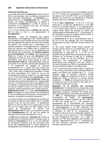 250        Système endocrinien et Hormones

Hormones thyroïdiennes                                       ce moyen, les hormones T 3 et T4 sont libérées (environ
La thyroïde est formée de follicules arrondis (de 50 à       0,2 et 1-3 mol/mol de thyroglobuline) et rejoignent le
500 µm de diamètre), dont les cellules produisent les        flux sanguin où l'I- des MIT et DIT, qui sont également
deux hormones thyroïdiennes : la thyroxine (T4 ;             libérées, est scindé par une déiodinase et redevient
prohormone) et la triiodothyronine (T3 ; hormone             disponible pour une resynthèse hormonale.
active). Les cellules parafolliculaires ou cellules C
                                                             T3 et T4 dans l'organisme : T3 est 2 à 4 fois plus
synthétisent la calcitonine (cf. p. 256). T3 agit sur la
                                                             active que T4 et agit plus rapidement (T3 a son effet
croissance et la maturation ainsi que, de diverses
                                                             maximum en quelques heures, T 4 en quelques jours).
façons, sur le métabolisme.
                                                             T3 ne provient qu'en partie de la thyroïde (20%), la
T3 et T4 sont stockées dans le colloïde des follicules       majeure partie (80%) est produite au niveau des
(B) où elles se lient à une glycoprotéine, la                cellules-cibles par désiodation de T4. C'est pourquoi T3
thyroglobuline.                                              est considérée comme la véritable hormone active et
Biochimie : Dans les ribosomes des cellules                  T4 comme une prohormone (réserve).
thyroïdiennes, la thyroglobuline (PN = 660 000 Dalton)       La conversion de T4 en T3 (essentiellement dans le
est synthétisée à partir d'acides aminés puis elle migre     foie et le rein) est catalysée par une 5'-déiodinase
dans les appareils de Golgi où elle se lie aux hydrates      mycrosomale qui libère l'iode de l'anneau externe de
de carbone. Tout comme pour « l'exportation » de             T4 (D).
certaines protéines, la thyroglobuline est « emballée »      Si, par contre l'atome d'iode enlevé provient de
dans une vésicule, puis libérée dans le colloïde par         l'anneau interne (action de la 5-déiodinase), la T4 est
exocytose (A et cf. p. 12 et 13). Ici, et probablement du    transformée en une reverse T3 inactive (rT3).
côté externe de la membrane, les fractions tyrosine          Normalement la production de T 3 et de rT3 en
de la thyroglobuline sont iodées. Cela nécessite de          périphérie est du même ordre de grandeur (25 µg/j). La
l'iode qui, à partir du sang, est activement (ATP-           formation de Ta diminue et celle de rT3 augmente
dépendant) enrichie 25 fois environ dans la cellule          durant le jeûne, du fait de l'inhibition de la 5'-
thyroïdienne sous forme d'ions iodures (I-) (B). La          déiodinase. Fait exceptionnel, la 5'-déiodinase
thyrostimuline (TSH) de l'adénohypophyse, hormone            hypophysaire (voir ci-dessous) n'est pas inhibée, si
de contrôle de la thyroïde, stimule cette absorption de      bien que la libération de TSH (non souhaitable dans ce
I- en augmentant sa capacité de transport                    cas) par rétroaction négative ne s'effectue pas.
(enrichissement en I- jusqu'à 250 fois), tandis que
                                                             T3 et T4 se trouvent dans le plasma dans un rapport de
d'autres anions (par exemple et dans l'ordre d'efficacité
                                                             1/100 et elles y sont liées à trois protéines différentes
: ClO4-, SCN-, NO2-) l'inhibent par compétition. A partir
                                                             (ayant une affinité plus marquée pour T4) : 1) une
du stock intracellulaire de I- (pool I-), cet ion est
                                                             globuline fixant la thyroxine («thyroxin binding
continuellement extrait et oxydé en iode élémentaire
                                                             globulin» = TBG) qui transporte les 2/3 de T4. 2) une
ou en 13 par l'intermédiaire d'une peroxydase ; l'iode
                                                             préalbumine fixant la thyroxine (« thyroxin binding
élémentaire, liée à une iode transférase, passe par
                                                             prealbumin » = TBPA) qui transporte le reste de T4,
exocytose dans l'espace folliculaire où il réagit aussitôt
                                                             conjointement avec 3) une albumine. Des traces de T3
avec les 110 résidus tyrosine de la thyroglobuline. Par
                                                             et T4 libres circulent dans le sang.
ce procédé, le groupement phénol des résidus tyrosyl
est iodé en position 3 et/ou 5, si bien que la chaîne        Régulation de la sécrétion des hormones
protéique contient maintenant deux résidus tyrosyne :        thyroïdiennes : Contrairement à la plupart des autres
diiodotyrosine (DIT) ou un seul monoiodotyrosine             hormones, la concentration plasmatique de T3 et T4 est
(MIT). Les étapes de cette synthèse sont activées par        relativement constante. L'hormone de contrôle est la
la TSH et inhibées par le thiouracile, le thiocyanate, la    TSH (adénohypophyse), elle-même sous l'influence de
résorcine, le glutathion et d'autres substances.             la TRH ou thyréostimuline (hypothalamus) par
                                                             l'intermédiaire de l'AMPc.           La   somatostatine
La structure tertiaire de la thyroglobuline est telle que    hypothalamique inhibe la libération de TSH. L'effet de
les résidus de tyrosine iodés (restant dans le colloïde)     la TRH est modifié par T3 : par exemple une
peuvent s'unir les uns aux autres : le groupement            augmentation de la concentration des hormones
phénol d'un DIT (ou MIT) va se coupler avec un autre         thyroïdiennes entraîne une diminution de la sensibilité
DIT par une liaison éther, de telle manière que la           de l'adénohypophyse à la TRH (diminution des
chaîne     de     thyroglobuline    va    devenir     une    récepteurs à TRH), se traduisant par une diminution de
tétraiodothyro-nine et (pour une extension moindre)          la sécrétion de TSH et, en conséquence, une
une triiodothyronine (D). Ce sont les formes de              diminution du taux de Ta et T 4 (rétroaction négative; cf.
stockage des hormones thyroïdiennes T4 et T3.                p. 238). (La T4 est convertie en T 3 dans l'hypophyse
La TSH stimule également la libération de T3 et T4, la       par une 5-déiodinase très active : cf. p. 250). La
thyroglobuline du colloïde entrant à nouveau dans la         sécrétion de TRH peut également être modifiée, par
cellule par endocytose (C et cf. p. 12). Ces vésicules       exemple, négativement par T3 et T4 ( rétroaction) ou
de pinocytose fusionnent avec les lysosomes pour             par des influences nerveuses (positivement, par
former des phagolysosomes au niveau desquels la              exemple lorsqu'il fait froid).
thyroglobuline est hydrolysée par des protéases. Par
 