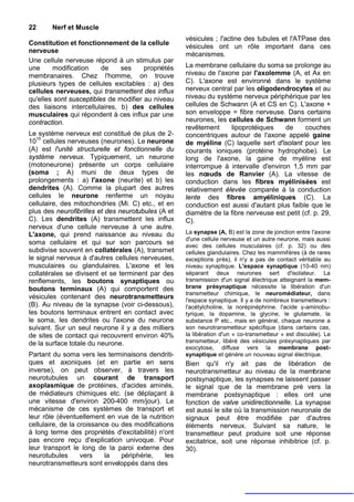 22      Nerf et Muscle
                                                     vésicules ; l'actine des tubules et l'ATPase des
Constitution et fonctionnement de la cellule
                                                     vésicules ont un rôle important dans ces
nerveuse
                                                     mécanismes.
Une cellule nerveuse répond à un stimulus par
une     modification     de    ses     propriétés    La membrane cellulaire du soma se prolonge au
membranaires. Chez l'homme, on trouve                niveau de l'axone par l'axolemme (A, et Ax en
plusieurs types de cellules excitables : a) des      C). L'axone est environné dans le système
cellules nerveuses, qui transmettent des influx      nerveux central par les oligodendrocytes et au
qu'elles sont susceptibles de modifier au niveau     niveau du système nerveux périphérique par les
des liaisons intercellulaires, b) des cellules       cellules de Schwann (A et CS en C). L'axone +
musculaires qui répondent à ces influx par une       son enveloppe = fibre nerveuse. Dans certains
contraction.                                         neurones, les cellules de Schwann forment un
                                                     revêtement     lipoprotéiques    de      couches
Le système nerveux est constitué de plus de 2-       concentriques autour de l'axone appelé gaine
1010 cellules nerveuses (neurones). Le neurone       de myéline (C) laquelle sert d'isolant pour les
(A) est l'unité structurelle et fonctionnelle du     courants ioniques (protéine hydrophobe). Le
système nerveux. Typiquement, un neurone             long de l'axone, la gaine de myéline est
(motoneurone) présente un corps cellulaire           interrompue à intervalle d'environ 1,5 mm par
(soma ; A) muni de deux types de                     les nœuds de Ranvier (A). La vitesse de
prolongements : a) l'axone (neurite) et b) les       conduction dans les fibres myélinisées est
dendrites (A). Comme la plupart des autres           relativement élevée comparée à la conduction
cellules le neurone renferme un noyau                lente des fibres amyéliniques (C). La
cellulaire, des mitochondries (Mi. C) etc., et en    conduction est aussi d'autant plus faible que le
plus des neurofibrilles et des neurotubules (A et    diamètre de la fibre nerveuse est petit (cf. p. 29,
C). Les dendrites (A) transmettent les influx        C).
nerveux d'une cellule nerveuse à une autre.
L'axone, qui prend naissance au niveau du            La synapse (A, B) est la zone de jonction entre l'axone
                                                     d'une cellule nerveuse et un autre neurone, mais aussi
soma cellulaire et qui sur son parcours se           avec des cellules musculaires (cf. p. 32) ou des
subdivise souvent en collatérales (A), transmet      cellules glandulaires. Chez les mammifères (à de rares
le signal nerveux à d'autres cellules nerveuses,     exceptions près), il n'y a pas de contact véritable au
musculaires ou glandulaires. L'axone et les          niveau synaptique. L'espace synaptique (10-40 nm)
collatérales se divisent et se terminent par des     séparant deux neurones sert d'isolateur. La
renflements, les boutons synaptiques ou              transmission d'un signal électrique atteignant la mem-
boutons terminaux (A) qui comportent des             brane présynaptique nécessite la libération d'un
                                                     transmetteur chimique, le neuromédiateur, dans
vésicules contenant des neurotransmetteurs           l'espace synaptique. Il y a de nombreux transmetteurs :
(B). Au niveau de la synapse (voir ci-dessous),      l'acétylcholine, la norépinéphrine. l'acide γ-aminobu-
les boutons terminaux entrent en contact avec        tyrique, la dopamine, la glycine, le glutamate, la
le soma, les dendrites ou l'axone du neurone         substance P etc., mais en général, chaque neurone a
suivant. Sur un seul neurone il y a des milliers     son neurotransmetteur spécifique (dans certains cas,
de sites de contact qui recouvrent environ 40%       la libération d'un « co-transmetteur » est discutée). Le
de la surface totale du neurone.                     transmetteur, libéré des vésicules présynaptiques par
                                                     exocytose, diffuse vers la membrane post-
Partant du soma vers les terminaisons dendriti-      synaptique et génère un nouveau signal électrique.
ques et axoniques (et en partie en sens              Bien qu'il n'y ait pas de libération de
inverse), on peut observer, à travers les            neurotransmetteur au niveau de la membrane
neurotubules un courant de transport                 postsynaptique, les synapses ne laissent passer
axoplasmique de protéines, d'acides aminés,          le signal que de la membrane pré vers la
de médiateurs chimiques etc. (se déplaçant à         membrane postsynaptique : elles ont une
une vitesse d'environ 200-400 mm/jour). Le           fonction de valve unidirectionnelle. La synapse
mécanisme de ces systèmes de transport et            est aussi le site où la transmission neuronale de
leur rôle (éventuellement en vue de la nutrition     signaux peut être modifiée par d'autres
cellulaire, de la croissance ou des modifications    éléments nerveux. Suivant sa nature, le
à long terme des propriétés d'excitabilité) n'ont    transmetteur peut produire soit une réponse
pas encore reçu d'explication univoque. Pour         excitatrice, soit une réponse inhibitrice (cf. p.
leur transport le long de la paroi externe des       30).
neurotubules       vers    la   périphérie,    les
neurotransmetteurs sont enveloppés dans des
 