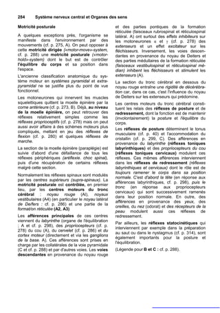 284      Système nerveux central et Organes des sens

Motricité posturale                                   et des parties pontiques de la formation
                                                      réticulée (faisceaux rubrospinal et réticulospinal
A quelques exceptions près, l'organisme se            latéral. A) ont surtout des effets inhibiteurs sur
manifeste dans l'environnement par des                les motoneurones α et γ (cf. p. 278) des
mouvements (cf. p. 275, A). On peut opposer à         extenseurs et un effet excitateur sur les
cette motricité dirigée {«motor-move»-system,         fléchisseurs. Inversement, les voies descen-
cf. p. 288) une motricité posturale («motor-          dantes en provenance du noyau de Deiters et
hold»-system) dont le but est de contrôler            des parties médullaires de la formation réticulée
l'équilibre du corps et sa position dans              (faisceaux vestibulospinal et réticulospinal mé-
l'espace.                                             dian) inhibent les fléchisseurs et stimulent les
L'ancienne classification anatomique du sys-          extenseurs (A).
tème moteur en systèmes pyramidal et extra-           La section du tronc cérébral en dessous du
pyramidal ne se justifie plus du point de vue         noyau rouge entraîne une rigidité de décérébra-
fonctionnel.                                          tion car, dans ce cas, c'est l'influence du noyau
Les motoneurones qui innervent les muscles            de Deiters sur les extenseurs qui prédomine.
squelettiques quittent la moelle épinière par la      Les centres moteurs du tronc cérébral consti-
corne antérieure (cf. p. 273, B). Déjà, au niveau     tuent les relais des réflexes de posture et de
de la moelle épinière, on peut retrouver des          redressement, dont la fonction est de maintenir
réflexes relativement simples comme les               (involontairement) la posture et l'équilibre du
réflexes proprioceptifs (cf. p. 278) mais on peut     corps.
aussi avoir affaire à des schèmes moteurs plus
                                                      Les réflexes de posture déterminent le tonus
compliqués, mettant en jeu des réflexes de
                                                      musculaire (cf. p. 40) et l'accommodation du
flexion (cf. p. 280) et quelques réflexes de
                                                      cristallin (cf. p. 299, C). Des afférences en
marche.
                                                      provenance du labyrinthe (réflexes toniques
La section de la moelle épinière (paraplégie) est     labyrinthiques) et des propriocepteurs du cou
suivie d'abord d'une défaillance de tous les          (réflexes toniques cervicaux) modulent ces
réflexes périphériques (aréflexie. choc spinal),      réflexes. Ces mêmes afférences interviennent
puis d'une récupération de certains réflexes          dans les réflexes de redressement (réflexes
malgré cette section.                                 labyrinthiques et cervicaux) dont le rôle est de
                                                      toujours ramener le corps dans sa position
Normalement les réflexes spinaux sont modulés
                                                      normale. C'est d'abord la tête (en réponse aux
par les centres supérieurs (supra-spinaux). La
                                                      afférences labyrinthiques, cf. p. 298), puis le
motricité posturale est contrôlée, en premier
                                                      tronc (en réponse aux propriocepteurs
lieu, par les centres moteurs du tronc
                                                      cervicaux) qui sont successivement ramenés
cérébral : noyau rouge (Al), noyaux
                                                      dans leur position normale. En outre, des
vestibulaires (A4) (en particulier le noyau latéral
                                                      afférences en provenance des yeux, des
de De/fers : cf. p. 286) et une partie de la
                                                      oreilles, du nez (odorat) et des récepteurs de la
format/on réticulée (A2, A3)
                                                      peau modulent aussi ces réflexes de
Les afférences principales de ces centres             redressement.
viennent du labyrinthe (organe de l'équilibration
                                                      Par ailleurs, les réflexes statocinétiques qui
; A et cf. p. 298), des propriocepteurs (cf. p.
                                                      interviennent par exemple dans la préparation
278) du cou (A), du cervelet (cf. p. 286) et du
                                                      au saut ou dans le nystagmus (cf. p. 314), sont
cortex moteur (directement et via les ganglions
                                                      également importants pour la posture et
de la base. A). Ces afférences sont prises en
                                                      l'équilibration.
charge par les collatérales de la voie pyramidale
(C et cf. p. 288) et par d'autres voies. Les voies    (Légende pour B et C : cf. p. 288).
descendantes en provenance du noyau rouge
 