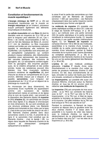 34       Nerf et Muscle


Constitution et fonctionnement du                     la zone H est la partie des sarcomères qui n'est
muscle squelettique 1                                 constituée que de filaments de myosine
                                                      (environ 1 000 par sarcomère) ; ces filaments
L'énergie chimique de l'ATP (cf. p. 20) est           s'épaississent dans leur partie moyenne (centre
directement transformée par le muscle en              du sarcomère) pour former une ligne M.
énergie mécanique (et en chaleur), processus          La molécule de myosine (C) possède une
auquel participent également des éléments             partie céphalique scindée en deux (S1 ) (elle est
enzymatiques et structurels.                          le siège de l'activité ATP-asique, cf. p. 36 et
La cellule musculaire est une fibre (A) dont le       suiv.), qui s'articule avec une partie cervicale
diamètre varie en moyenne de 10 à 100 µn et           (S2) (la partie céphalique et la partie cervicale
dont la longueur peut atteindre 20 cm. Les «          constituent la méromyosine lourde, C). laquelle
fibres » de viande, reconnaissables à l'œil nu,       est réunie à une partie caudale (méromyosine
sont en fait des faisceaux de fibres (A, environ      légère, C). Un filament de myosine se
0,1-1 mm de diamètre). La fibre musculaire            compose d'environ 150 à 360 de ces molécules,
(cellule) est limitée par une membrane cellulaire     assemblées à la manière d'une torsade. La
appelée le sarcolemme; elle renferme les              mobilité de la partie cervico-céphalique. à la
myofibrilles. Les myofibrilles sont entourées par     manière d'une articulation, permet la fixation
le sarcoplasme (cytoplasme) qui contient              réversible de la myosine avec l'actine (formation
plusieurs noyaux cellulaires, des mitochondries       au complexe actomyosine, cf. p. 38) et le
(appelées aussi sarcosomes), des lysosomes,           glissement des filaments d'actine et de myosine
des vacuoles lipidiques, des inclusions de            les uns sur les autres [glissement des filaments,
glycogène. etc. Le sarcoplasme contient égale-        cf. p. 36 et 38).
ment du glycogène, des enzymes glycolyti-             L'actine G est une molécule protéique
ques, de la créatine phosphate et des acides          globulaire. L'actine F résulte d'une sorte
aminés, toutes ces substances pouvant être            d'enchaînement à la manière d'un collier de
libérées. Une fibre musculaire renferme               perles de plusieurs molécules d'actine G (400
plusieurs centaines de myofibrilles (A) dont          environ). En fait, deux enchaînements de ce
chacune se divise en compartiments de 2,5 µm          type, enroulés l'un autour de l'autre pour former
environ, délimités chacun par 2 disques Z et          une torsade, constituent un filament d'actine (B).
appelés sarcomères. Leur longueur est                 La tropomyosine, qui possède elle aussi une
grossièrement de 1.5 à 3.0 µm et dépend de la         structure filiforme, s'enroule autour du filament
précharge du muscle (B).                              d'actine. et. tous les 40 nm environ vient s'y
Au microscope (en deux dimensions), les               rattacher une molécule de troponine (B).
sarcomères d'une myofibrille (A) apparaissent         La troponine (TN) est composée de trois sous-
comme        une     succession     de     bandes     unités : a) la TN-C qui contracte les liaisons
alternativement claires et sombres et de lignes       avec le Ca2+ ; b) la TN-T qui relie la TN à la
(d'où le nom de muscle strié) ; ceci provient de      tropomyosine ; c) la TN-I qui, à l'état de repos,
la disposition des filaments (épais) de myosine       empêche la formation de liaisons entre l'actine
et (fins) d'actine (B). Un sarcomère est compris
                                                      et la myosine. Cet effet inhibiteur de la TN-I est
entre deux lignes Z ou disques Z (microscopie         levé lorsque la TN-C est saturée en Ca2+.
en trois dimensions. B). qui sont constitués par
une structure protéique plane. Les filaments          Pendant la contraction, le filament de tropo-
d'actine sont traversés en leur milieu par la ligne   myosine se dépose dans la gouttière entre les
Z, c'est-à-dire qu'une moitié de chacun de ces 2      deux chaînes d'actine F et laisse alors la
000 filaments d'actine pénètre dans deux              possibilité à la myosine de créer des liaisons
sarcomères voisins à la fois. A proximité de la       avec la molécule d'actine. Le signal de
ligne Z. le sarcomère n'est constitué que de          déclenchement de ce phénomène est assuré
filaments d'actine : c'est la bande l (B). La         par la fixation des ions Ca2-1- sur les sites de la
région dans laquelle les filaments d'actine et de     troponine (cf. p. 36 à 39).
myosine       se     chevauchent       correspond
optiquement à la bande A :
 