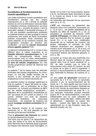 36      Nerf et Muscle

Constitution et fonctionnement du                    bande l et la zone H se raccourcissent. Quand,
muscle squelettique II                               à la fin, les filaments épais rencontrent la ligne
                                                     Z, le muscle se trouve à son maximum de
Les unités motrices du muscle squelettique sont      raccourcissement :
normalement activées par leur propre                 les extrémités des filaments fins se recouvrent
motoneurone (cf. p. 32). L'arrivée du potentiel      alors (cf. p. 41. C).
d'action du nerf à la terminaison nerveuse libère
un médiateur chimique, l'acétylcholine, qui induit   L'ATP est nécessaire au glissement des
la formation de « courants de plaque » dont la       filaments (donc à la contraction musculaire) (cf.
sommation spatiale et temporelle provoque (cf.       p. 19 et suiv.) ; les part/es céphaliques de la
p. 28) une excitation supraliminaire entraînant      myosine (ou têtes de myosine. cf. p. 35, C)
un potentiel d'action qui sera propagé le long du    possèdent la propriété de dissocier l'ATP
sarcolemme vers toutes les fibres musculaires        (activité ATPasique). Les têtes de myosine se
(cellules musculaires). Cette membrane cel-          fixent aux filaments fins en formant un angle
lulaire présente, en de nombreux endroits, des       donné (C). A la suite d'une modification
invaginations verticales en direction des            structurale de la molécule de myosine, les
myofibrilles : ce sont les tubules transverses       parties céphalique et cervicale de cette
encore appelés système T (A).                        molécule accentuent leur angulation, à la
                                                     manière d'une articulation (cf. p. 34 et suiv.) et
Le réticulum endoplasmique (cf. p. 4) est un peu     entraînent par là même le filament fin dans leur
différent dans la cellule musculaire et on           mouvement (théorie des filaments glissants, C
l'appelle réticulum sarcoplasmique (A). Il est       et cf. p. 38).
formé de compartiments fermés (sans
communication avec le milieu extracellulaire),       La traction au niveau des deux extrémités d'un
qui sont disposés parallèlement aux myofibrilles     filament épais de myosine s'effectue en sens
ce sont les tubules longitudinaux (A). Ces           opposé entre l'une et l'autre extrémité (cf. p.
tubules longitudinaux servent de réservoir aux       35), de telle manière que la zone de
ions Ca2+.                                           recouvrement entre actine et myosine, de part
                                                     et d'autre de la ligne Z, tend à augmenter. Il
Le système T est en liaison avec les vésicules       s'ensuit un raccourcissement du sarcomère, aux
terminales des tubules longitudinaux. Au micro-      deux extrémités du faisceau de myosine (cf. p.
scope, on voit des triades formées par la            35).
réunion, à leur extrémité, de deux tubules
                                                     Un seul cycle de glissement raccourcit un
longitudinaux et d'un tubule transverse (A).
                                                     sarcomère de 2 X 8 nm. Pour un sarcomère
Le potentiel d'action se propage rapidement le       d'environ 2 µm, le raccourcissement est de
long du système T, lequel fait partie du milieu      l'ordre de 1 %. Cela signifie que pour toute la
extracellulaire, vers la profondeur de la fibre      fibre musculaire (dont la longueur maximale est
musculaire. Là, il produit une libération de Ca2+    de 20 cm), formée de sarcomères disposés en
par les tubules longitudinaux avoisinants ;          série, le raccourcissement est aussi de 1 %.
l'élévation de la concentration intracellulaire en   Une secousse musculaire pouvant entraîner
Ca2+ qui passe de 0,01 µmol/l au repos à 1-10        jusqu'à 50 % de raccourcissement, il est donc
(µmol/l, entraîne une suite de réactions             indispensable que le cycle précédant se
provoquant       finalement     les     secousses    renouvelle : liaison des têtes - rotation des têtes
musculaires : cet ensemble de réactions est          et glissement - séparation ou rupture des
appelé couplage excitation-contraction (B; cf.       liaisons - traction des têtes de myosine -
p. 38).                                              rattachement sur un site d'insertion voisin des
                                                     filaments d'actine. etc. (C).
Les filaments d'actine et de myosine d'un
sarcomère (cf. p. 34) sont disposés de telle
manière qu'ils peuvent s'emboîter.
C'est le glissement des filaments qui conduit
au raccourcissement du muscle ;
c'est ainsi que les lignes Z se rapprochent les
unes des autres et la zone de recouvrement
entre filaments fins et filaments épais augmente
(la longueur des filaments reste inchangée!). La
 