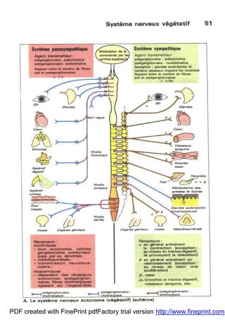 PDF created with FinePrint pdfFactory trial version http://www.fineprint.com
 