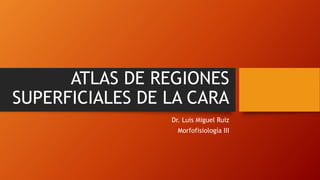 ATLAS DE REGIONES
SUPERFICIALES DE LA CARA
Dr. Luis Miguel Ruiz
Morfofisiología III
 
