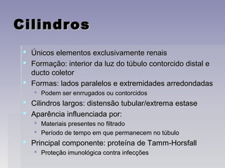 CilindrosCilindros
 Únicos elementos exclusivamente renaisÚnicos elementos exclusivamente renais
 Formação: interior da luz do túbulo contorcido distal eFormação: interior da luz do túbulo contorcido distal e
ducto coletorducto coletor
 Formas: lados paralelos e extremidades arredondadasFormas: lados paralelos e extremidades arredondadas
 Podem ser enrrugados ou contorcidosPodem ser enrrugados ou contorcidos
 Cilindros largos: distensão tubular/extrema estaseCilindros largos: distensão tubular/extrema estase
 Aparência influenciada por:Aparência influenciada por:
 Materiais presentes no filtradoMateriais presentes no filtrado
 Período de tempo em que permanecem no túbuloPeríodo de tempo em que permanecem no túbulo
 Principal componente: proteína de Tamm-HorsfallPrincipal componente: proteína de Tamm-Horsfall
 Proteção imunológica contra infecçõesProteção imunológica contra infecções
 