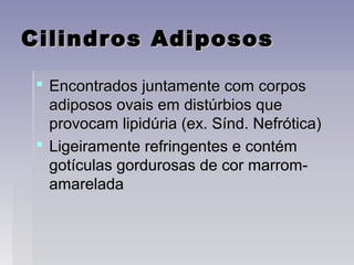 Cilindros AdipososCilindros Adiposos
 Encontrados juntamente com corposEncontrados juntamente com corpos
adiposos ovais em distúrbios queadiposos ovais em distúrbios que
provocam lipidúria (ex. Sínd. Nefrótica)provocam lipidúria (ex. Sínd. Nefrótica)
 Ligeiramente refringentes e contémLigeiramente refringentes e contém
gotículas gordurosas de cor marrom-gotículas gordurosas de cor marrom-
amareladaamarelada
 