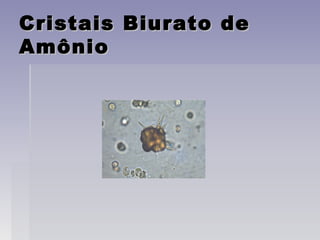 Cristais Biurato deCristais Biurato de
AmônioAmônio
 