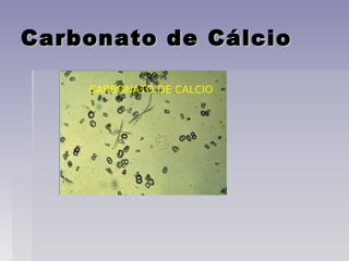 Carbonato de CálcioCarbonato de Cálcio
 