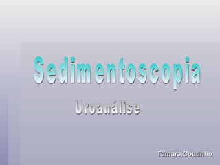 Sedimentoscopia Uroanálise Tamara Coutinho 