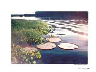 Atlasdigitalapresentacao 110917174254-phpapp02