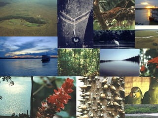 Atlasdigitalapresentacao 110917174254-phpapp02