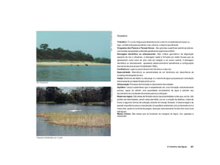 Atlasdigitalapresentacao 110917174254-phpapp02