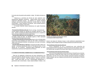 Atlasdigitalapresentacao 110917174254-phpapp02