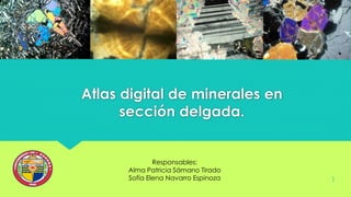 Atlas digital de minerales en
sección delgada.
1
Responsables:
Alma Patricia Sámano Tirado
Sofía Elena Navarro Espinoza
 