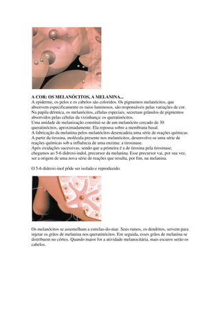 A COR: OS MELANÓCITOS, A MELANINA...
A epiderme, os pelos e os cabelos são coloridos. Os pigmentos melanócitos, que
absorvem especificamente os raios luminosos, são responsáveis pelas variações de cor.
Na papila dérmica, os melanócitos, células especiais, secretam grânulos de pigmentos
absorvidos pelas células da vizinhança: os queratinócitos.
Uma unidade de melanização constitui-se de um melanócito cercado de 30
queratinócitos, aproximadamente. Ela repousa sobre a membrana basal.
A fabricação da melanina pelos melanócitos desencadeia uma série de reações químicas.
A partir da tirosina, molécula presente nos melanócitos, desenvolve-se uma série de
reações químicas sob a influência de uma enzima: a tirosinase.
Após oxidações sucessivas, sendo que a primeira é a de tirosina pela tirosinase,
chegamos ao 5-6 didroxi-indol, precursor da melanina. Esse precursor vai, por sua vez,
ser a origem de uma nova série de reações que resulta, por fim, na melanina.

O 5-6 didroxi-inol pôde ser isolado e reproduzido.




Os melanócitos se assemelham a estrelas-do-mar. Seus ramos, os dendritos, servem para
injetar os grãos de melanina nos queratinócitos. Em seguida, esses grãos de melanina se
distribuem no córtex. Quando maior for a atividade melanocitária, mais escuros serão os
cabelos.
 