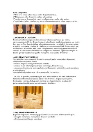 Fase Anagenética
1º Um novo fio de cabelo nasce dentro da papila dérmica.
2º Ele empurra o fio de cabelo em fase telogenética.
3º Assim, o novo fio de cabelo cresce regularmente e expulsa o fio antigo.
4º A divisão celular é contínua. As novas células empurram as velhas para o exterior.




A QUEDA DOS CABELOS
Como certos folículos pilosos têm ciclos de vida mais curtos do que outros,
aproximadamente 60 fios de cabelos caem naturalmente a cada dia, enquanto que outros
fios surgem. Se a duração da fase telogenética aumentar em relação à fase anagenética,
o equilíbrio rompe-se e os fios de cabelo caem em maior quantidade do que aquela que
seria normal. A atividade pode cessar completamente, os cabelos podem não voltar a
crescer. As causas desse fenômeno são complexas e múltiplas. É preciso distinguir os
fatores que desencadeiam as quedas passageiras ou as quedas definitivas.

AS QUEDAS PASSAGEIRAS
São definidas como uma perda de cabelo anormal, porém momentânea. Podem ser
atribuídas aos seguintes fatores:
- estresse psíquico: secreção hormonal alterada;
- estresse físico: intervenção cirúrgica, hemorragia, febre elevada;
- origem medicamentosa: anticoagulantes, medicamentos antitiróideos, anti-reumáticos
e antimicóticos;
- carência de oligoelementos: cálcio, manganês, zinco e ferro.

 Em caso de gravidez, as modificações mais menos intensas das taxas de hormônios
femininos induzem um estado de repouso nos folículos. Alopecias passageiras,
localizadas, como a pelada, podem explicar-se pela constituição genética, por
perturbações imunitárias ou por antecedentes familiares.




AS QUEDAS DEFINITIVAS
Explicam-se por uma atrofia da papila dérmica. Suas causas podem ser múltiplas:
- infecções bacterianas ou micóticas do couro cabeludo;
- afecções dermatológicas: a psoríase;
 
