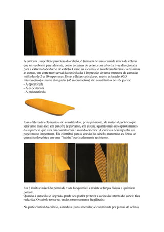 A cutícula , superfície protetora do cabelo, é formada de uma camada única de células
que se recobrem parcialmente, como escamas de peixe, com a borda livre direcionada
para a extremidade do fio de cabelo. Como as escamas se recobrem diversas vezes umas
às outras, um corte transversal da cutícula da à impressão de uma estrutura de camadas
múltiplas de 3 a 10 espessuras. Essas células cuticulares, muito achatadas (0,5
micrometros) e muito alongadas (45 micrometros) são constituídas de três partes:
- A epicutícula
- A exocutícula
- A endocutícula
Esses diferentes elementos são constituídos, principalmente, de material protéico que
será tanto mais rico em enxofre (e portanto, em cistina) quanto mais nos aproximamos
da superfície que esta em contato com o mundo exterior. A cutícula desempenha um
papel muito importante. Ela contribui para a coesão do cabelo, mantendo as fibras de
queratina do córtex em uma "bainha" particularmente resistente.
Ela é muito estável do ponto de vista bioquímico e resiste a forças físicas e químicas
potente.
Quando a cutícula se degrada, perde seu poder protetor e a coesão interna do cabelo fica
reduzida. O cabelo torna-se, então, extremamente fragilizado.
Na parte central do cabelo, a medula (canal medular) é constituída por pilhas de células
 