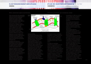 E L E K T R O K A R D I O G R A F I A K O AT L A S A 			 AT L A S D E E L E C T R O C A R D I O G R A F í A / 1 /
OINARRIAK FUNDAMENTOS
/ 6 /
Estructura y funciones de la membrana celularMintz zelularraren egitura eta funtzioak
Mintz zelularra edo mintz plasmatikoa
esaten zaio zelularen kanpoko estalkiari,
zitoplasma zelularen kanpoaldetik
bereizten duen mintzari. Lipidoz,
proteinaz eta gluzidoz osatua dago,
eta horien proportzioa aldatu egiten da
zelularen funtzioaren arabera.
Fosfolipidoak, esfingomielina eta
kolesterola dira lipidoak; substantzia
anfipatikoak direnez, ioientzat
nahiko iragazgaitza den lipido-
geruza bikoitza osatzen dute, eta
horri esker mintzaren alde banatan
karga elektrikoen diferentzia
bat mantentzea lortzen da (horri
mintzaren potentziala esaten zaio).
Proteinek ere talde hidrofiloak eta
hidrofoboak dauzkate, lipidoen geruza
bikoitzaren barruan kokatzen dira
eta funtzio entzimatiko konplexuak
egiteaz eta substantziak garraiatzeaz
arduratzen dira.
Gluzidoek glukolipidoak eta
glukoproteinak eratzen dituzte, zelulaz
kanpo kokatzen dira eta beste zelula
eta antigeno batzuen identifikazio-
markatzaile bezala eta hormona-
hartzaile bezala jokatzen dute.
Singer eta Nicholson-en mosaiko
fluidoaren ereduaren arabera antolatua
dagoen zelula-egitura konplexu horrek,
zelula barneko eta zelulaz kanpoko
espazioen artean substantzien hautazko
garraioa egiteko aukera ematen du.
Garraio hori izan daiteke:
a) Garraio pasiboa (kontzentrazio-
gradienteari esker, energia-gasturik
gabe), eta horren barruan difusioa,
osmosia eta filtrazioa sartzen dira.
b) Garraio aktiboa
(kontzentrazio-gradientearen kontra,
energia-gastuarekin), primarioa nahiz
sekundarioa izan daitekeena. Garraio
aktiboaren barruan nabarmentzekoak
dira kaltzio-ponpa, ioi horren joan-
etorriak arautzen dituena, eta
sodio-potasioaren ponpa, zelulatik
sodioa aterarazi eta bertara potasioa
sarrarazten duena, energia-gastu
handiarekin (ATPak ematen du energia
hori). Horrela, zelulaz kanpoko sodio-
kontzentrazioak eta zelula barruko
potasioarenak altuak dira, izanik
kanpoaldea elektrikoki positiboa eta
zelularen barrualdea, berriz, negatiboa:
horri mintzean zeharreko atseden-
potentziala esaten zaio. Bihotz-zelula
estimulatzen denean, sodioaren kanalak
irekitzen dira eta sodioa indarrean
sartzen da zelulara, zelularen karga
elektrikoa inbertitu egiten da eta
mintzean zeharreko ekintza-potentziala
sortzen da.
La membrana celular o membrana
plasmática es la cubierta exterior de
la célula, que separa el citoplasma
del exterior celular. Está formada
por lípidos, proteínas y glúcidos, en
proporción variable según la función
celular.
Los lípidos son fosfolípidos,
esfingomielina y colesterol, que al ser
sustancias anfipáticas forman una
bicapa lipídica poco permeable a los
iones, lo que contribuye a mantener una
diferencia de cargas a ambos lados de
la membrana (potencial de membrana).
Las proteínas tienen también grupos
hidrófilos e hidrófobos, se sitúan
dentro de la bicapa lipídica y realizan
complejas funciones enzimáticas y de
transporte de sustancias.
Los glúcidos forman glucolípidos y
glucoproteínas, se sitúan en el exterior
celular y actúan como marcadores
de identificación de otras células
y antígenos, y como receptores de
hormonas.
Esta compleja estructura celular,
organizada según el modelo del
mosaico fluido de Singer y Nicholson,
permite el transporte selectivo de
sustancias entre los espacios intra y
extracelular.
Este transporte puede ser:
a) Transporte pasivo (a favor del
gradiente de concentración, sin gasto
de energía), que comprende difusión,
ósmosis y filtración.
b) Transporte activo (en contra del
gradiente de concentración, con gasto
de energía), que puede ser primario
y secundario. Dentro del transporte
activo destacan la bomba de calcio,
que regula el trasiego este ion, y la
bomba de sodio-potasio, que extrae
sodio e introduce potasio en la
célula, con gran gasto de energía pue
proporciona el ATP. De esta manera,
las concentraciones extracelulares de
sodio e intracelulares de potasio son
altas, siendo el exterior eléctricamente
positivo y negativo el interior: potencial
de reposo transmembrana. Al ser
estimulada la célula cardíaca, se abren
los canales para el sodio, que penetra
masivamente, se invierte la carga
eléctrica celular y se origina el potencial
de acción transmembrana.
Zelulaz kanpoko likidoa
Líquido extracelular
Glukoproteinak
Glucoproteínas Akoplatzeko
zona
Zona de
acoplamiento
Kolesterola
ColesterolKarbohidratoak
Carbohidratos
Fosfolipidoak
Fosfolípidos
Proteina garraiatzailea
Proteína transportadora
Ezagutzeko
proteina
Proteína de
reconocimiento
Proteinaren harizpiak
Filamentos de proteína
Mintz lipidikoa
Membrana lipídica
Proteina
hartzailea
Proteína
receptora
Zitoplasma / Citoplasma
 