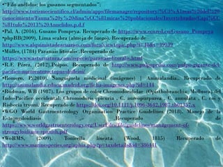 •“Filo anélidos: los gusanos segmentados”:
http://www.turismocientifico.cl/admin/apps/filemanager/repository/%C3%A1reas%20del%20
conocimiento/Fauna%20y%20dina%CC%81micas%20poblacionales/Invertebrados/Capi%CC
%81tulo%2013%20Annelidos.p.d.f
•Pal, A. (2016). Gusano Pompeya. Recuperado de https://www.ecured.cu/Gusano_Pompeya
•phpBB(2009), Lima scabra (almeja de fuego). Recuperado de
http://www.alquimistadeacuarios.com/foro/viewtopic.php?f=48&t=39939
•Müller, (1784) Paranais litoralis .Recuperado de
https://www.asturnatura.com/especie/paranais-litoralis.html
•R.F. Pérez, (2012).Pulpos. Recuperado de http://www.pulpopedia.com/pulpo-gigante-del-
pacifico-norteenteroctopus-dofleini/
•Romero, P.(2010). Sanguijuela medicinal (imágenes) | Animalandia.. Recuperado de
http://animalandia.educa.madrid.org/ficha-imagenes.php?id=144
•Rudman, WB (1987). Los grupos de color Chromodorididae (Opisthobranchia: Mollusca) del
Indo-Pacífico occidental: Chromodoris epicuria , C. aureopurpurea , C. annulata , C. coi y
Risbecia tryoni. Recuperado de https://doi.org/10.1111/j.1096-3642.1987.tb01357.x
•WGO World Gastroenterology Organisation Practice Guidelines (2018). Manejo de la
Estrongiloidiasis .Recuperado de
https://www.worldgastroenterology.org/UserFiles/file/guidelines/management-of-
strongyloidiasis-spanish.pdf
•WoRMS, (2009). Tonicella lineata (Wood, 1815) Recuperado de
http://www.marinespecies.org/aphia.php?p=taxdetails&id=386441
 