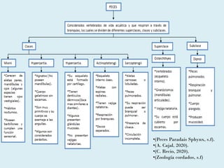 •(Peces Paradais Sphynx, s.f).
•(A. Cajal, 2020).
•(C. Recio, 2020).
•(Zoología cordados, s.f)
 