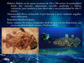Hábitat: Habita en las aguas oceánicas de 150 a 700 metros de profundidad
donde hay cavernas submarinas, arrecifes profundos y laderas
volcánicas, pero también se han observado a una profundidad de sólo 17
metros.
Alimentación: Peces, incluyendo el pez linterna y peces cardenal, anguilas,
rayas entre otros.
Reproducción: Ovovivípara.
Datos curiosos: Se creían extinguidos desde la época de los dinosaurios, por
eso es considerado fósil viviente. (NatGeo, 2011)
Tomado de
https://lh3.googleusercontent.com/proxy/ul2U4C2N9fb6223AwZfNw6A
Dbz4fckUCDhspsKJXnLgfVG-
HlX_mgTz6QdNfa9JTY17WISznKmYqXtZImDyk_1GvxvWIO4R1xp
Yx05_5
Tomado de
https://images.app.goo.gl/ZTqLXv5RsJUEC28a7
 