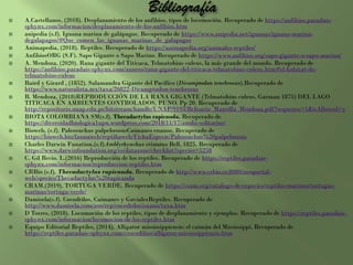  A.Castellanos, (2018). Desplazamiento de los anfibios, tipos de locomoción. Recuperado de https://anfibios.paradais-
sphynx.com/informacion/desplazamiento-de-los-anfibios.htm
 anipedia (s.f). Iguana marina de galápagos. Recuperado de https://www.anipedia.net/iguanas/iguana-marina-
degalapagos/#Que_comen_las_iguanas_marinas_de_galapagos
 Animapedia, (2018). Reptiles. Recuperado de https://animapedia.org/animales-reptiles/
 AnfibiosORG (S.F). Sapo Gigante o Sapo Marino. Recuperado de https://www.anfibios.org/sapo-gigante-o-sapo-marino/
 A. Mendoza, (2020). Rana gigante del Titicaca, Telmatobius culeus, la más grande del mundo. Recuperado de
https://anfibios.paradais-sphynx.com/anuros/rana-gigante-del-titicaca-telmatobius-culeus.htm#el-habitat-de-
telmatobius-culeus
 Baird y Girard , (1852). Salamandra Gigante del Pacífico (Dicamptodon tenebrosus).Recuperado de
https://www.naturalista.mx/taxa/26822-Dicamptodon-tenebrosus
 B. Mendoza, (2018)REPRODUCCIÓN DE LA RANA GIGANTE (Telmatobius culeus, Garman 1875) DEL LAGO
TITICACA EN AMBIENTES CONTROLADOS, PUNO. Pp 20. Recuperado de
http://repositorio.unap.edu.pe/bitstream/handle/UNAP/9193/Belisario_Mantilla_Mendoza.pdf?sequence=1&isAllowed=y
 BIOTA COLOMBIANA SM(s.f). Thecadactylus rapicauda. Recuperado de
https://diversidadbiologica1upn.wordpress.com/2018/11/17/anolis-solitarius/
 Bioweb, (s.f). Paleosuchus palpebrosusCaimanes enanos. Recuperado de
https://bioweb.bio/faunaweb/reptiliaweb/FichaEspecie/Paleosuchus%20palpebrosus
 Charles Darwin Funation,(s.f)Amblyrhynchus cristatus Bell, 1825. Recuperado de
https://www.darwinfoundation.org/es/datazone/checklist?species=5258
 C. Gil Recio. L.(2016) Reproducción de los reptiles. Recuperado de https://reptiles.paradais-
sphynx.com/informacion/reproduccion-reptiles.htm
 CRBio (s.f). Thecadactylus rapicauda. Recuperado de http://www.crbio.cr:8080/neoportal-
web/species/Thecadactylus%20rapicauda
 CRAM,(2019). TORTUGA VERDE. Recuperado de https://cram.org/catalogo-de-especies/reptiles-marinos/tortugas-
marinas/tortuga-verde/
 Damisela(s.f). Cocodrilos, Caimanes y GavialesReptiles. Recuperado de
http://www.damisela.com/zoo/rep/cocodrilos/enano/taxa.htm
 D Torres, (2018). Locomoción de los reptiles, tipos de desplazamiento y ejemplos. Recuperado de https://reptiles.paradais-
sphynx.com/informacion/locomocion-de-los-reptiles.htm
 Equipo Editorial Reptiles, (2014). Alligator mississippiensis: el caimán del Mississippi. Recuperado de
https://reptiles.paradais-sphynx.com/crocodilios/alligator-mississippiensis.htm
 