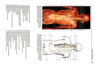 Atlas fotografico de_anatomia_del_cuerpo_humano_3era_edici_n
