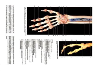 Atlas fotografico de_anatomia_del_cuerpo_humano_3era_edici_n