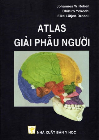 Atlas giải phẫu người joihanne w.rohen