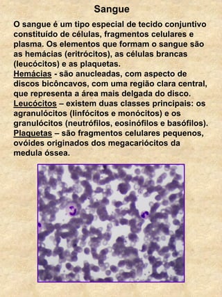 Sangue
O sangue é um tipo especial de tecido conjuntivo
constituído de células, fragmentos celulares e
plasma. Os elementos que formam o sangue são
as hemácias (eritrócitos), as células brancas
(leucócitos) e as plaquetas.
Hemácias - são anucleadas, com aspecto de
discos bicôncavos, com uma região clara central,
que representa a área mais delgada do disco.
Leucócitos – existem duas classes principais: os
agranulócitos (linfócitos e monócitos) e os
granulócitos (neutrófilos, eosinófilos e basófilos).
Plaquetas – são fragmentos celulares pequenos,
ovóides originados dos megacariócitos da
medula óssea.
 