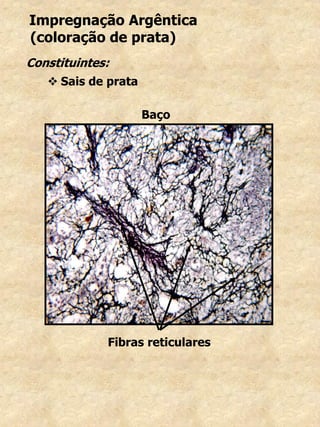 Impregnação Argêntica
(coloração de prata)
Constituintes:
 Sais de prata
Baço
Fibras reticulares
 