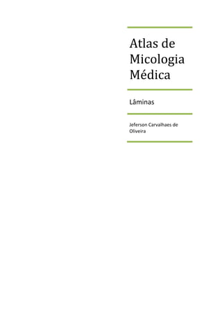 Atlas de
Micologia
Médica
Lâminas
Jeferson Carvalhaes de
Oliveira
 