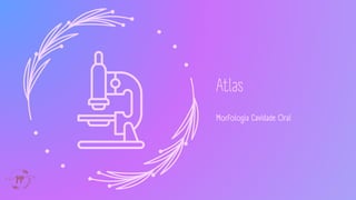 Atlas
Morfologia Cavidade Oral
ODO
N
T
O
L
O
G
I
A
 