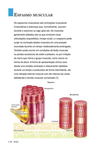 n 16 - Atlas
Os espasmos musculares são contrações musculares
involuntárias e dolorosas que, normalmente, ocorrem
durante o exercício ou logo após ele. Os músculos
geralmente afetados são os que envolvem duas
articulações (isquiotibiais, tríceps cural), e o espasmo pode
surgir na contração destes músculos em uma posição
encurtada durante um tempo moderadamente prolongado.
Também pode ocorrer em condições de lesão muscular
ou perdas excessivas de sódio e potássio, ou por irritação
do nervo que inerva o grupo muscular, como ocorre na
hérnia de disco. A forma de apresentação clínica varia
desde uma simples contração e relaxamento repetidos
durante um tempo e produzidos de forma intermitente, até
uma retração total do músculo com dor intensa (às vezes
debilitante) e tensão muscular aumentada (7).
ESPASMO MUSCULAR
 