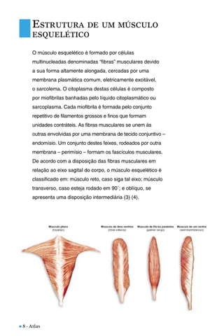 n 8 - Atlas
O músculo esquelético é formado por células
multinucleadas denominadas “fibras” musculares devido
a sua forma altamente alongada, cercadas por uma
membrana plasmática comum, eletricamente excitável,
o sarcolema. O citoplasma destas células é composto
por miofibrilas banhadas pelo líquido citoplasmático ou
sarcoplasma. Cada miofibrila é formada pelo conjunto
repetitivo de filamentos grossos e finos que formam
unidades contráteis. As fibras musculares se unem às
outras envolvidas por uma membrana de tecido conjuntivo –
endomísio. Um conjunto destes feixes, rodeados por outra
membrana – perimísio – formam os fascículos musculares.
De acordo com a disposição das fibras musculares em
relação ao eixo sagital do corpo, o músculo esquelético é
classificado em: músculo reto, caso siga tal eixo; músculo
transverso, caso esteja rodado em 90˚; e oblíquo, se
apresenta uma disposição intermediária (3) (4).
ESTRUTURA DE UM MÚSCULO
ESQUELÉTICO
 