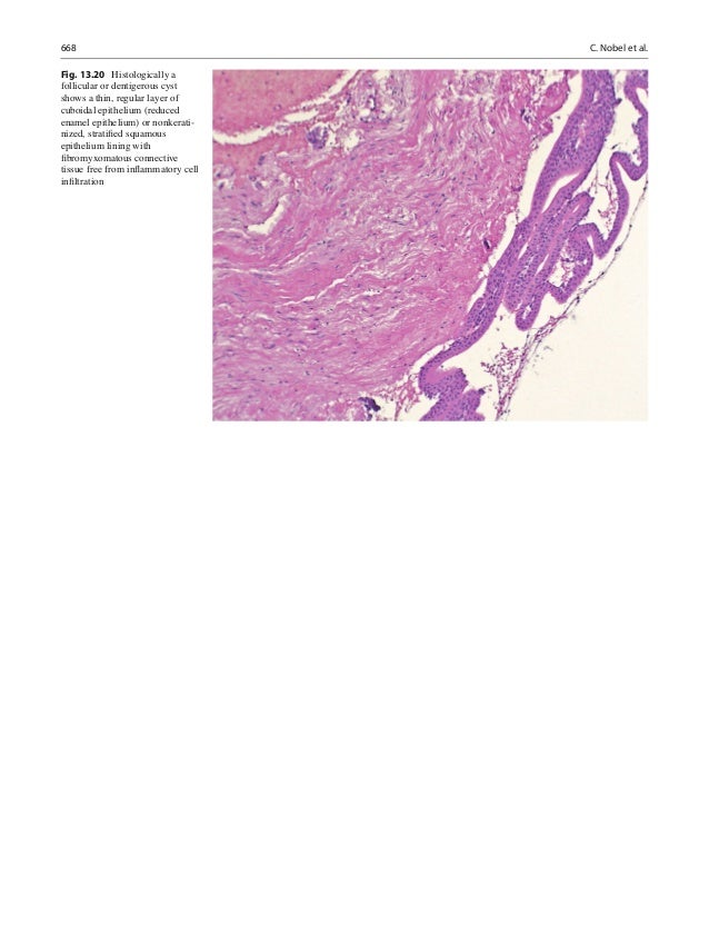 Anatomic Pathology | Atlas of Anatomic Pathology – ASWV